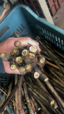 IMPROVITO - Ε.Ε.1 image