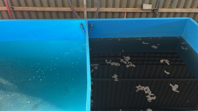 IMPROVITO - Ε.Ε.2 image